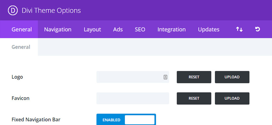 Divi Theme Options